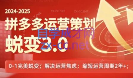大力老师·2024拼多多运营策略蜕变3.0-179创客网