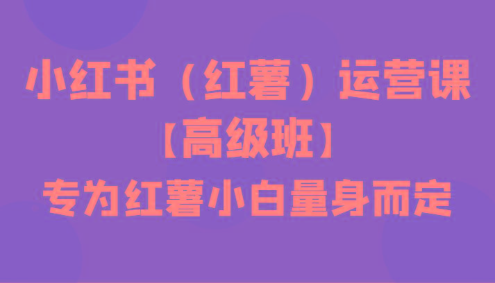 小红书(红薯)运营课【高级班】，专为红薯小白量身而定(42节课)-179创客网