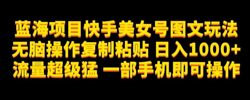 蓝海项目快手美女号图文玩法，无脑操作复制粘贴，日入1000+流量超级猛一部手机即可操作【揭秘】-179创客网