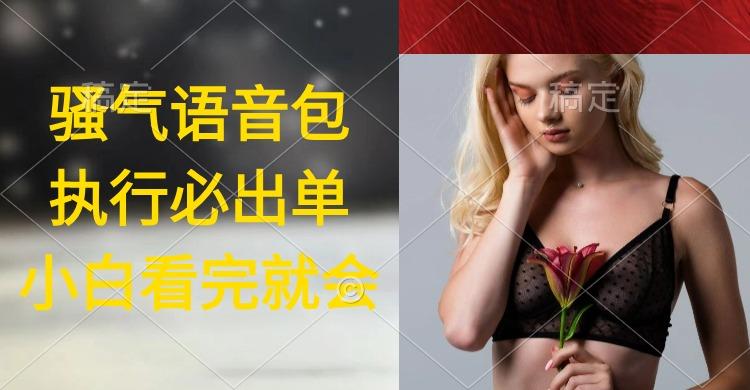 (9589期)执行就出单，日入2000+，超火骚气语音包，小白看完课程就能马上实操-网创资源