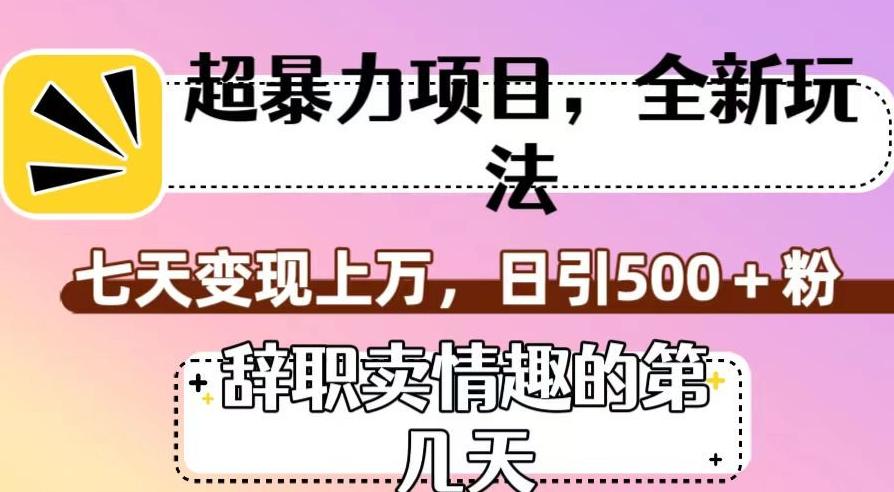 超暴利项目，全新玩法（辞职卖情趣的第几天），七天变现上万，日引500+粉【揭秘】-179创客网