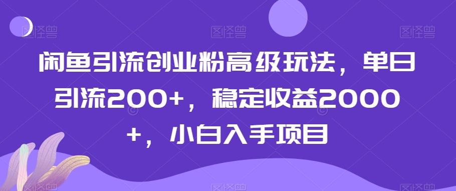 闲鱼引流创业粉高级玩法，单日引流200+，稳定收益2000+，小白入手项目-网创资源
