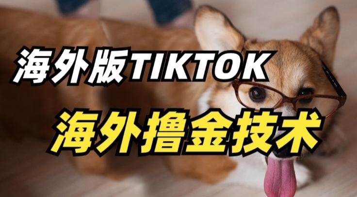 抖音海外版tiktok撸金技术，这个风口行业，赚钱真的不难【揭秘】-179创客网