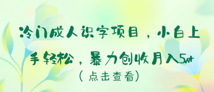 冷门成人识字项目，小白上手轻松，暴力创收月入5w+【揭秘】-179创客网