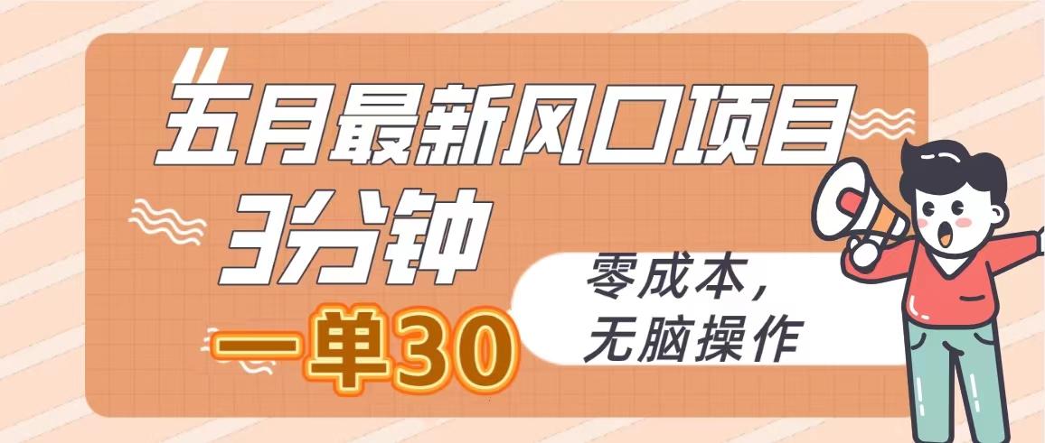 五月最新风口项目，3分钟一单30，零成本，无脑操作-179创客网