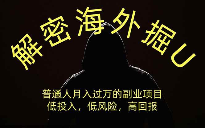 （19841期）解密海外掘U，普通人月入过万的副业项目，低投入、低风险高回报，没有之一-179创客网