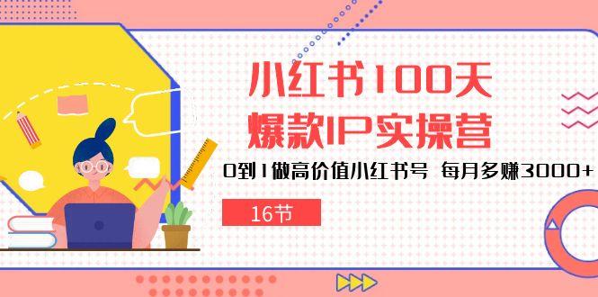 小红书100天-爆款IP实操营，0到1做高价值小红书号 每月多赚3000+(16节-179创客网