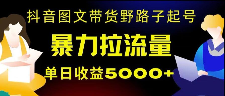 抖音图文带货暴力起号，单日收益5000+，野路子玩法，简单易上手，一部手机即可【揭秘】-179创客网