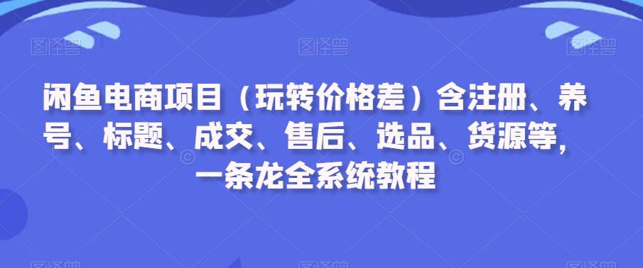 闲鱼电商项目(玩转价格差)含注册、养号、标题、成交、售后、选品、货源等，一条龙全系统教程-179创客网