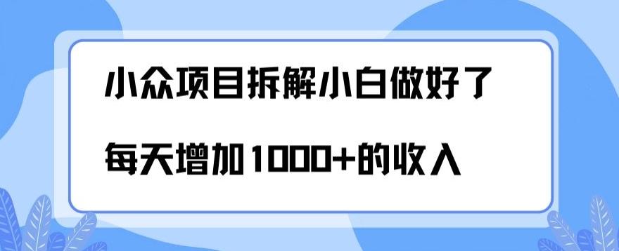 小众项目拆解，小白做好了每天可增加1000多的收入-179创客网