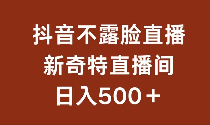 不露脸挂机直播，新奇特直播间，日入500+【揭秘】-179创客网