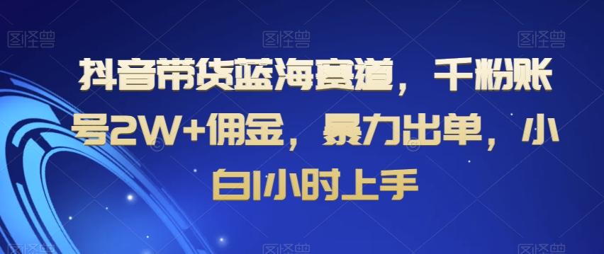 抖音带货蓝海赛道，千粉账号2W+佣金，暴力出单，小白1小时上手【揭秘】-179创客网
