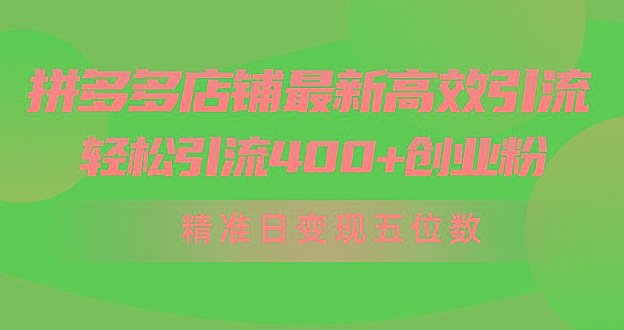 (10041期)拼多多店铺最新高效引流术，轻松引流400+创业粉，精准日变现五位数！-179创客网