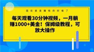 每天观看30分钟视频，一月躺赚1000+美金！保姆级教程，可放大操作【揭秘】-179创客网