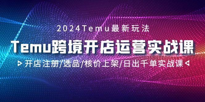 2024Temu跨境开店运营实战课，开店注册/选品/核价上架/日出千单实战课-179创客网