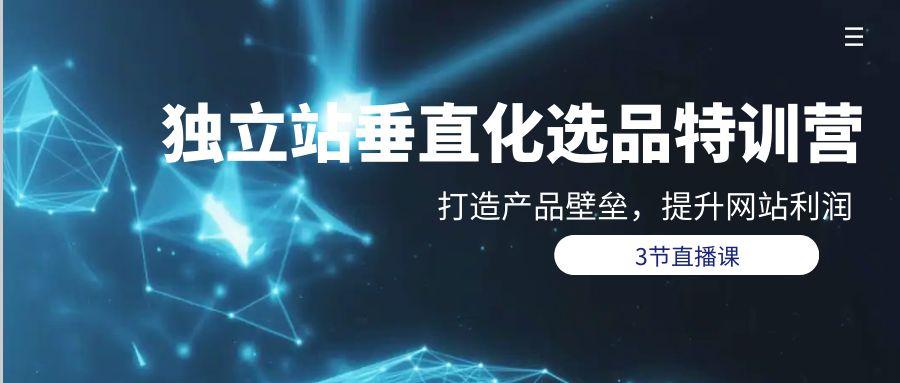 (9925期)独立站-垂直化选品训练营，打造产品壁垒，提升网站利润(3节直播课)-179创客网