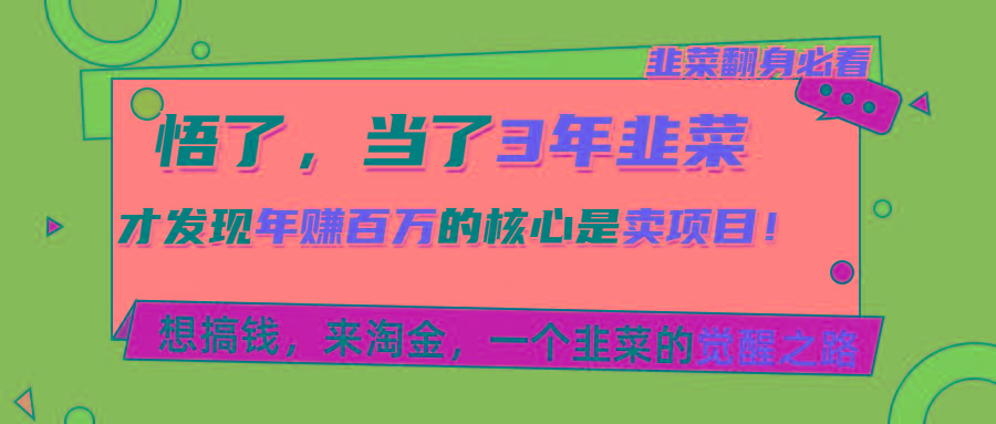 悟了，当了3年韭菜，才发现网赚圈年赚100万的核心是卖项目，含泪分享！-179创客网