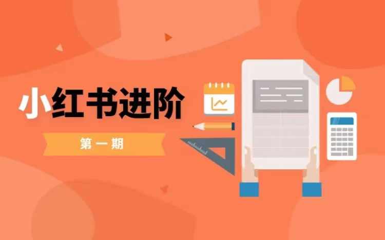 小红书进阶篇，零基础小白实战课，普通人变现的课程-179创客网