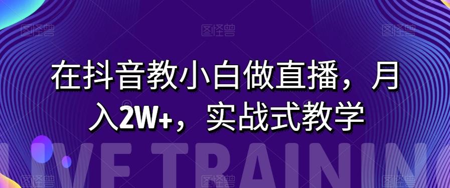 在抖音教小白做直播，月入2W+，实战式教学【揭秘】-179创客网