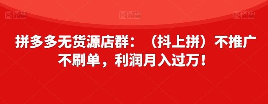 拼多多无货源店群：（抖上拼）不推广不刷单，利润月入过万！【揭秘】-179创客网