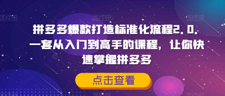 拼多多爆款打造标准化流程2.0，一套从入门到高手的课程，让你快速掌握拼多多-179创客网