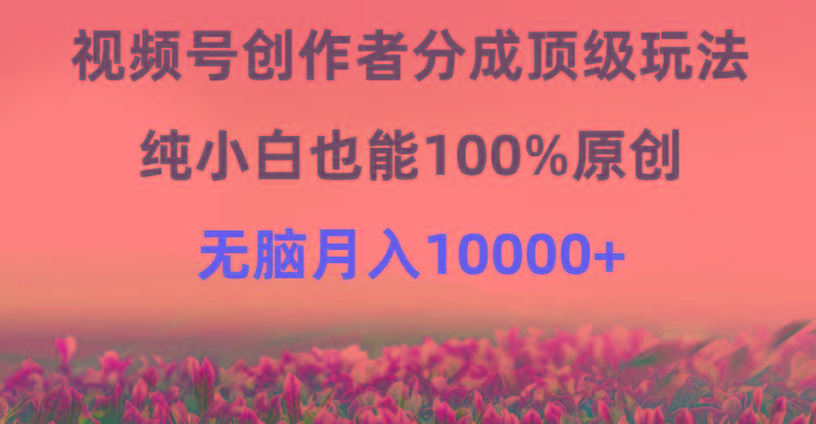 (9608期)视频号创作者分成顶级玩法，纯小白也能100%原创，无脑月入10000+-179创客网