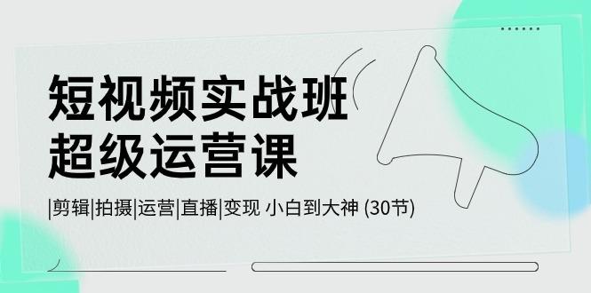 短视频实战班超级运营课 |剪辑|拍摄|运营|直播|变现 小白到大神 (30节)-179创客网