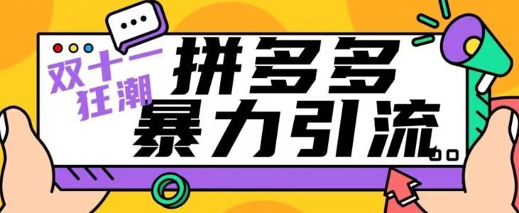 【首发】双十一拼多多暴力引流，日引300+微信-179创客网