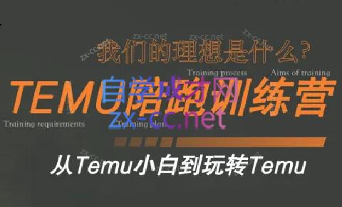 苗苗·拼多多跨境（temu）课程-179创客网