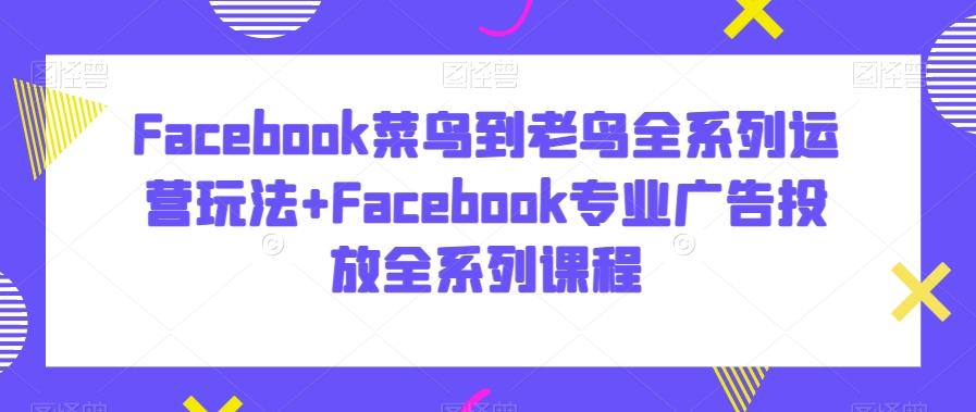 Facebook菜鸟到老鸟全系列运营玩法+Facebook专业广告投放全系列课程-179创客网
