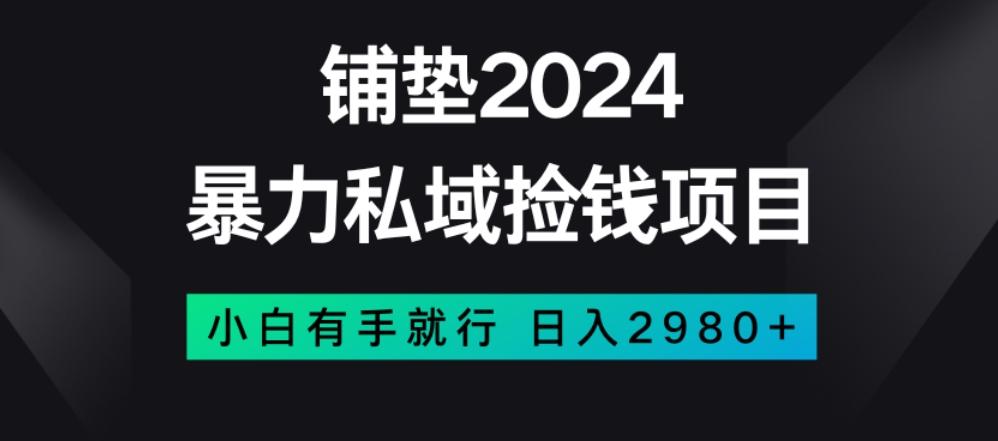 暴力私域捡钱项目，小白无脑操作，日入2980【揭秘】-179创客网
