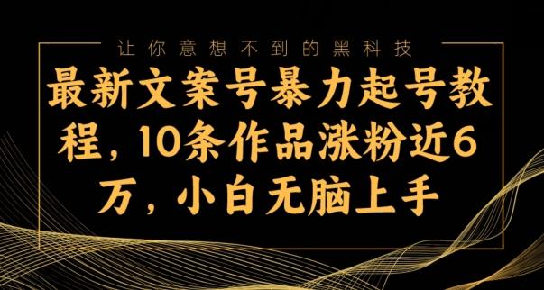 最新文案号暴力起号教程，10条作品涨粉近6万，小白无脑上手-179创客网