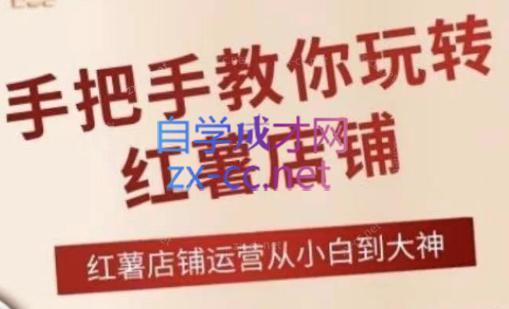 海燕老师·2024手把手教你玩转红薯店铺-179创客网