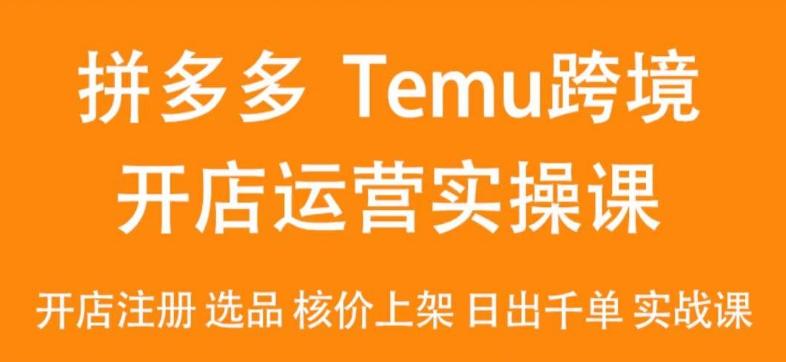 2024Temu最新玩法，Temu跨境开店运营实操课，开店注册/选品/核价上架/日出千单实战课-179创客网
