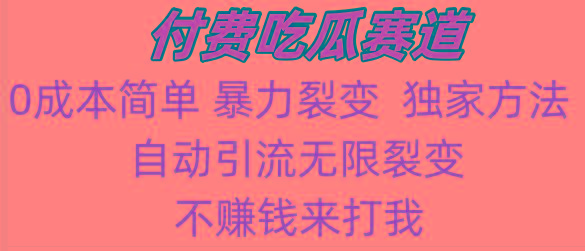 吃瓜付费赛道，暴力无限裂变，0成本，实测日入700+！！！-179创客网