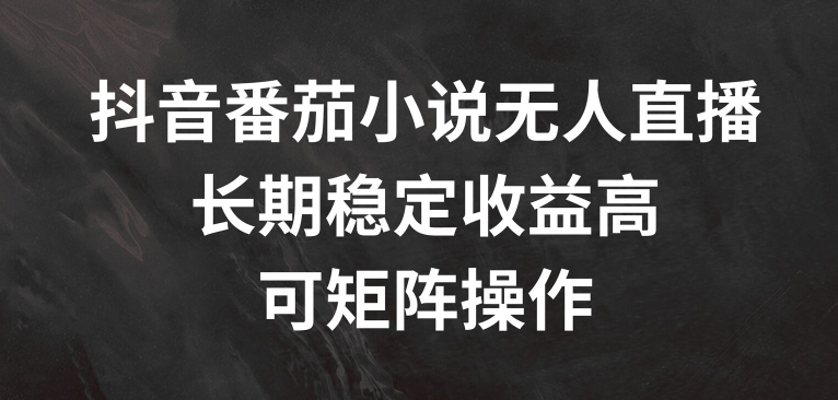 抖音番茄小说无人直播，长期稳定收益高，可矩阵操作【揭秘】-179创客网