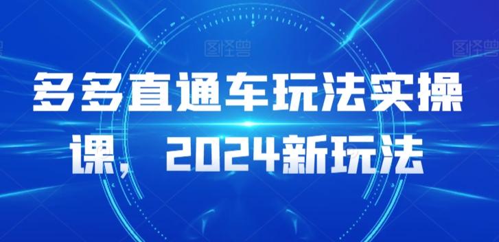 多多直通车玩法实操课，2024新玩法-179创客网