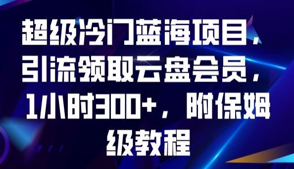 超级冷门蓝海项目，引流领取云盘会员，1小时300+，附保姆级教程-179创客网