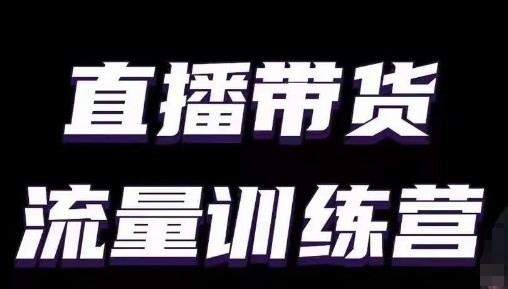 直播带货流量训练营，小白主播必学直播课-179创客网