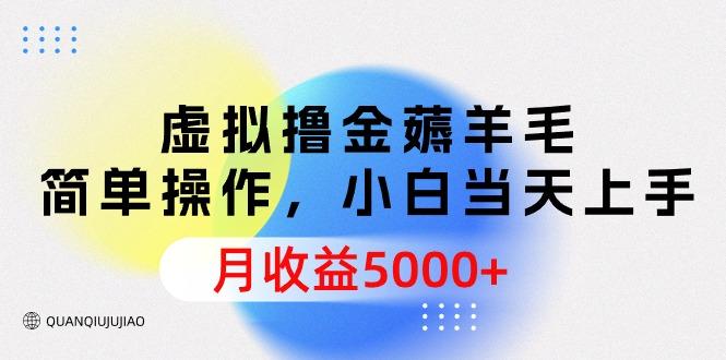 (9864期)虚拟撸金薅羊毛，简单操作，小白当天上手，月收益5000+-179创客网