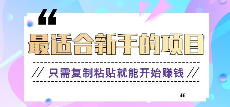 2024最适合新手操作的项目，新手小白只需复制粘贴就能开始赚钱【视频教程+软件】-179创客网