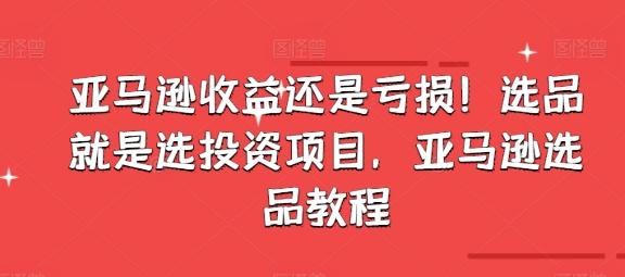 亚马逊收益还是亏损！选品就是选投资项目，亚马逊选品教程-179创客网