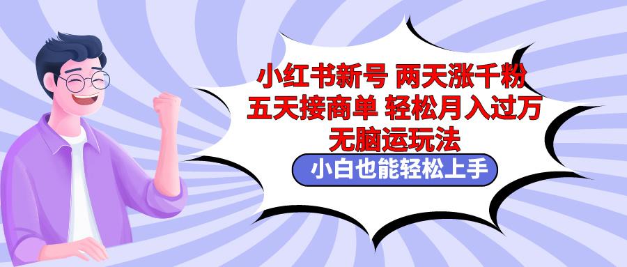 小红书新号两天涨千粉五天接商单轻松月入过万 无脑搬运玩法 小白也能轻…-179创客网