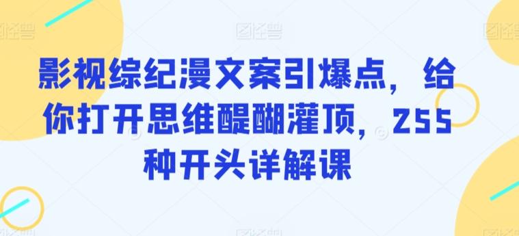 影视综纪漫文案引爆点，给你打开思维醍醐灌顶，255种开头详解课-179创客网
