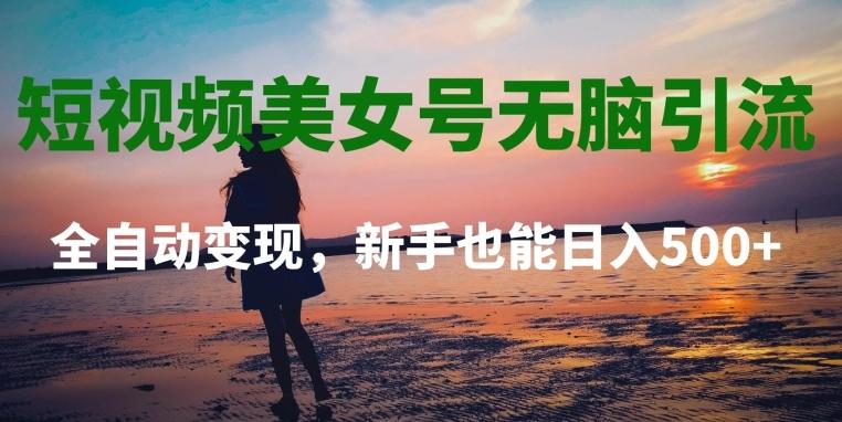 短视频美女号无脑引流，全自动变现，新手也能日入500+-179创客网