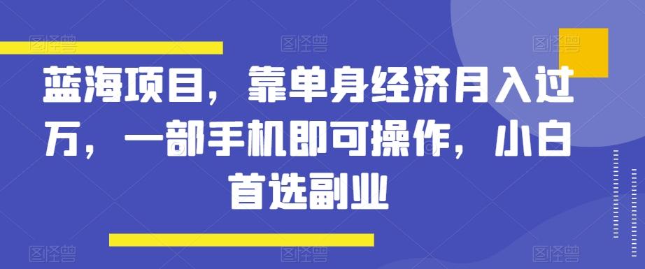 蓝海项目，靠单身经济月入过万，一部手机即可操作，小白首选副业【揭秘】-179创客网