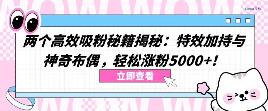 两个高效吸粉秘籍揭秘：特效加持与神奇布偶，轻松涨粉5000+【揭秘】-179创客网