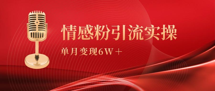 (9473期)单月变现6w+，情感粉引流变现实操课-179创客网