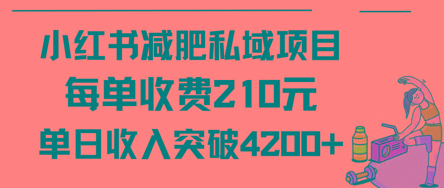 (9466期)小红书减肥私域项目每单收费210元单日成交20单，最高日入4200+-网创资源