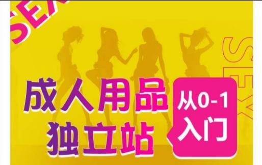 成人用品独立站从0-1入门，成品独立站运营全流程教学，七大好卖成品独立站推荐-179创客网